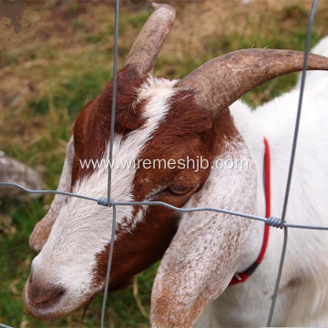High Tensile Woven Wire Sheep Fence